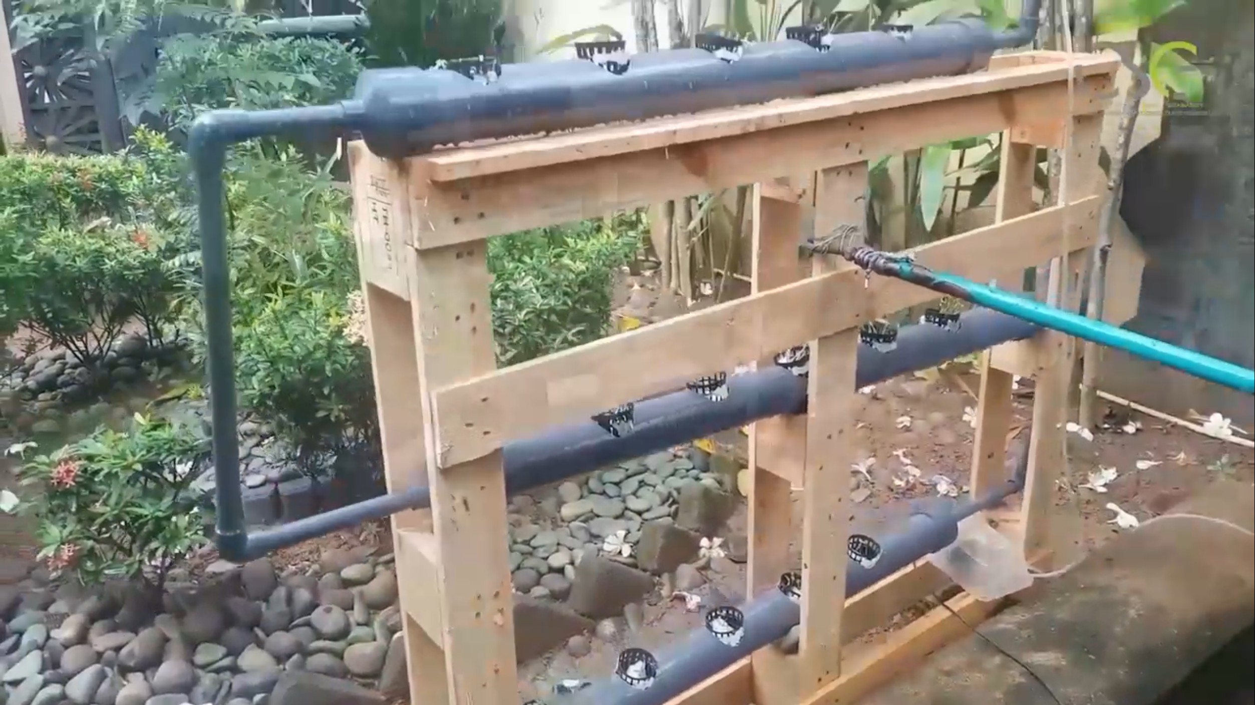 Aquaponics System