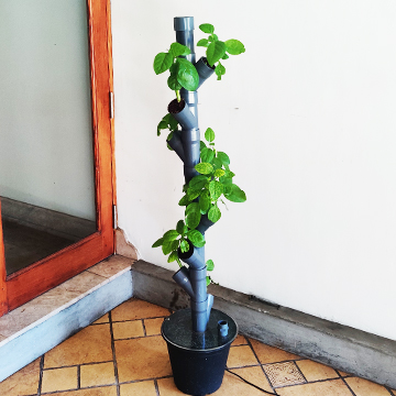 Hydroponics System