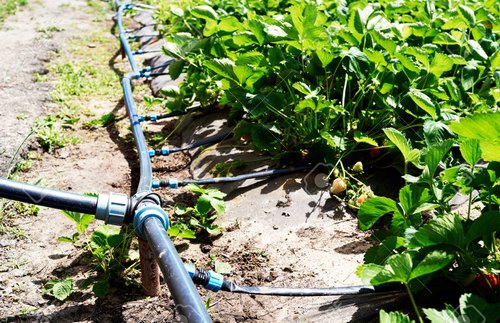 Irrigation Automation